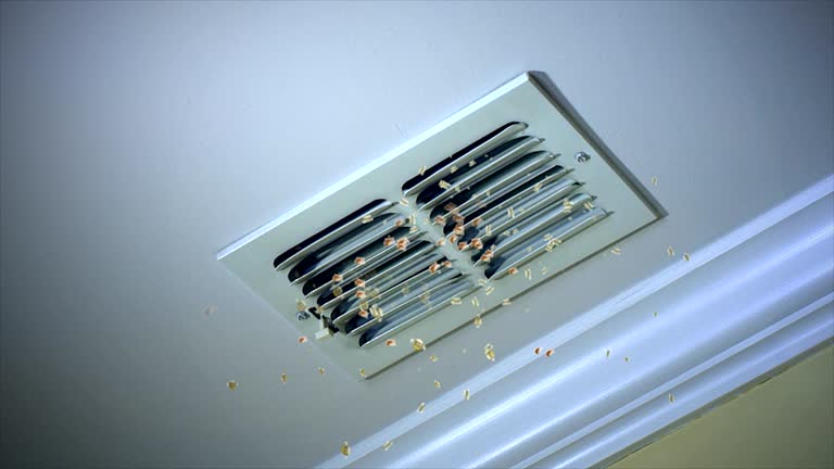 Best General Air Duct Cleaning  in Americus, GA